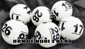 Dàn đề nuôi 2 ngày