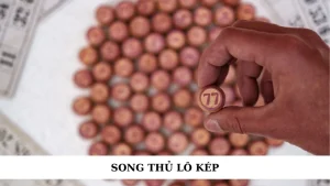 song thủ lô kép